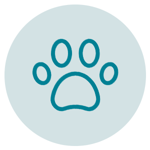 Pets icon.